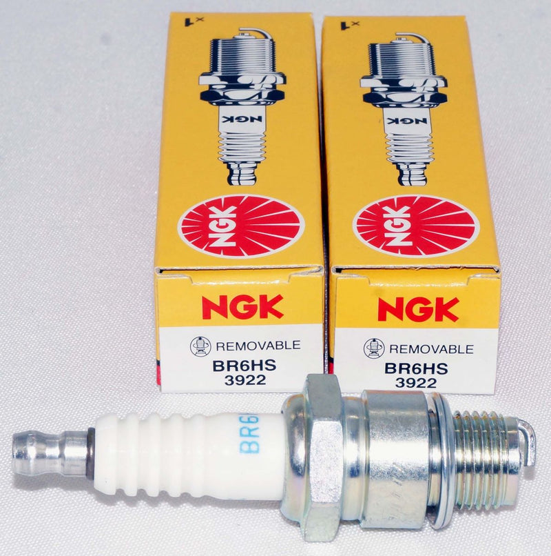 NGK 3922 Nickel Spark Plug BR6HS