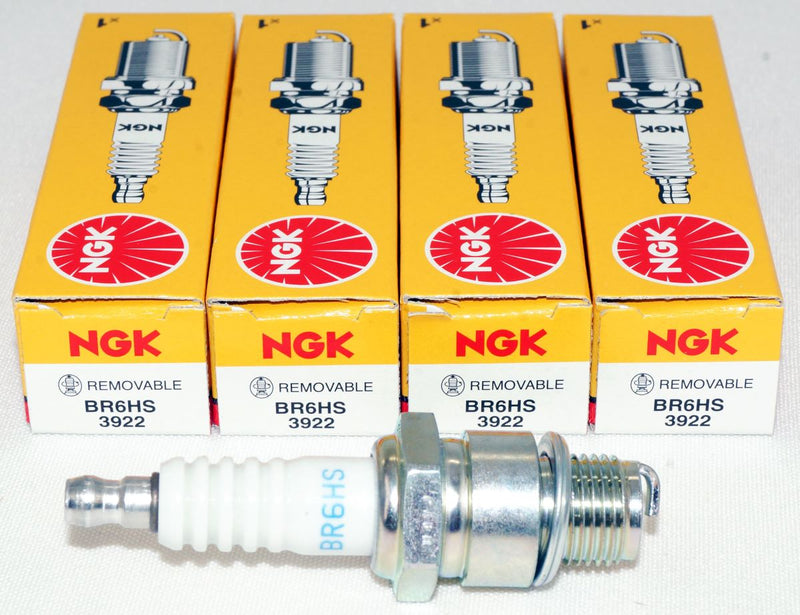 NGK 3922 Nickel Spark Plug BR6HS