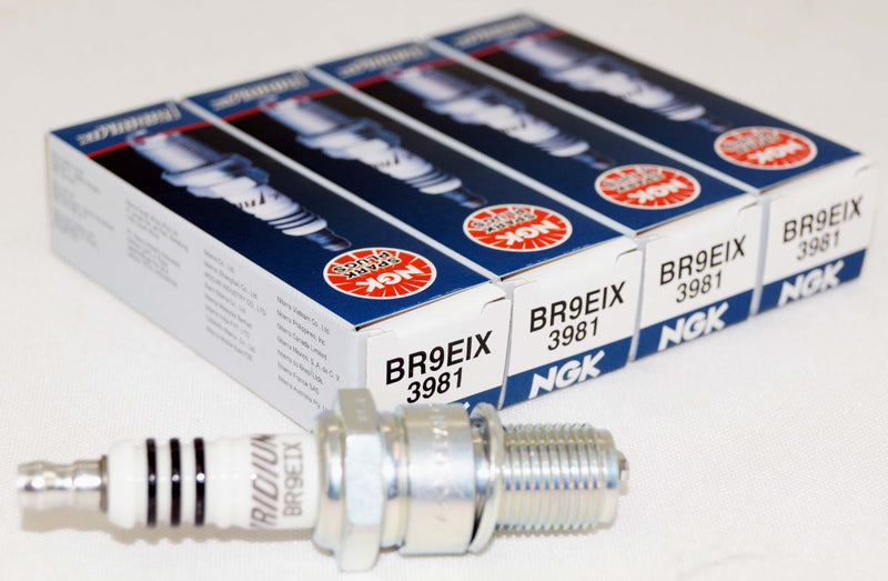 NGK 3981 Iridium IX Spark Plug BR9EIX for XS4062DP XS4062 WR3CS WR3CP