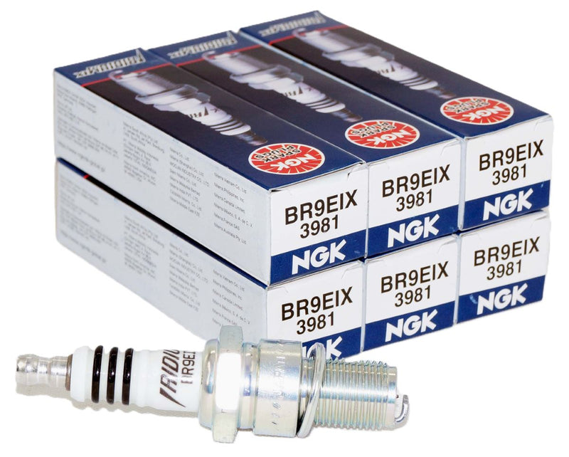 NGK 3981 Iridium IX Spark Plug BR9EIX for XS4062DP XS4062 WR3CS WR3CP