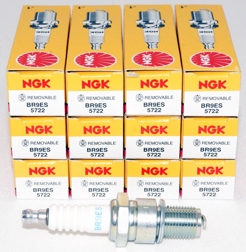 NGK 5722 BR9ES Nickel Spark Plug with Removable Terminal Nut