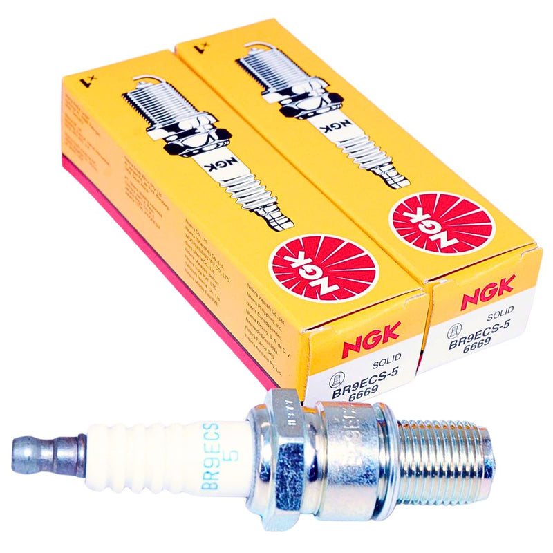 NGK 6669 BR9ECS-5 Nickel Spark Plug