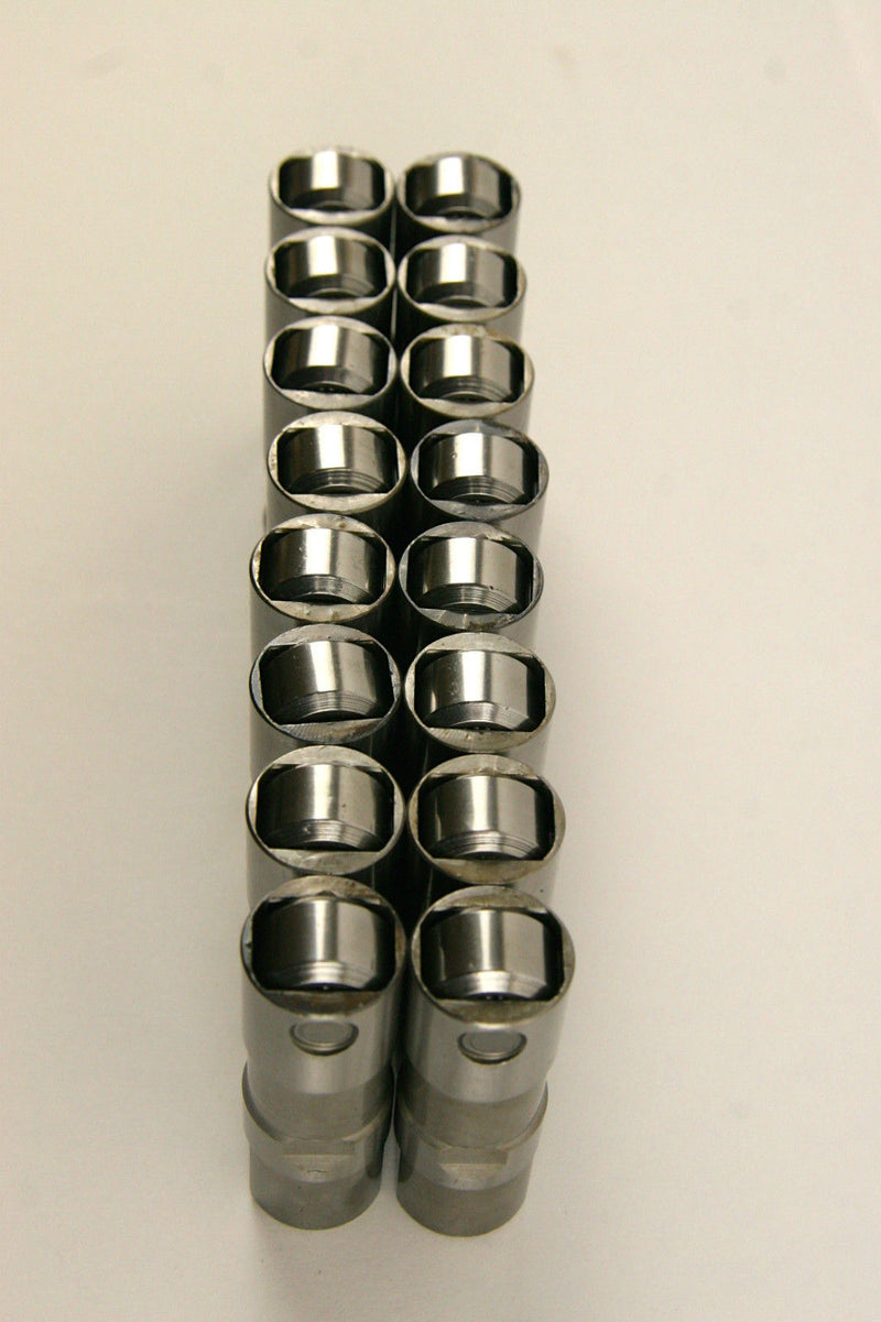 LS7 LS2 16 GM Performance Hydraulic Roller Lifters & 4 Guides 12499225 HL124