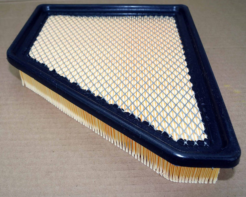 Ecogard XA6131 Premium Engine Air Filter replaces ACDelco A3138C A3238C