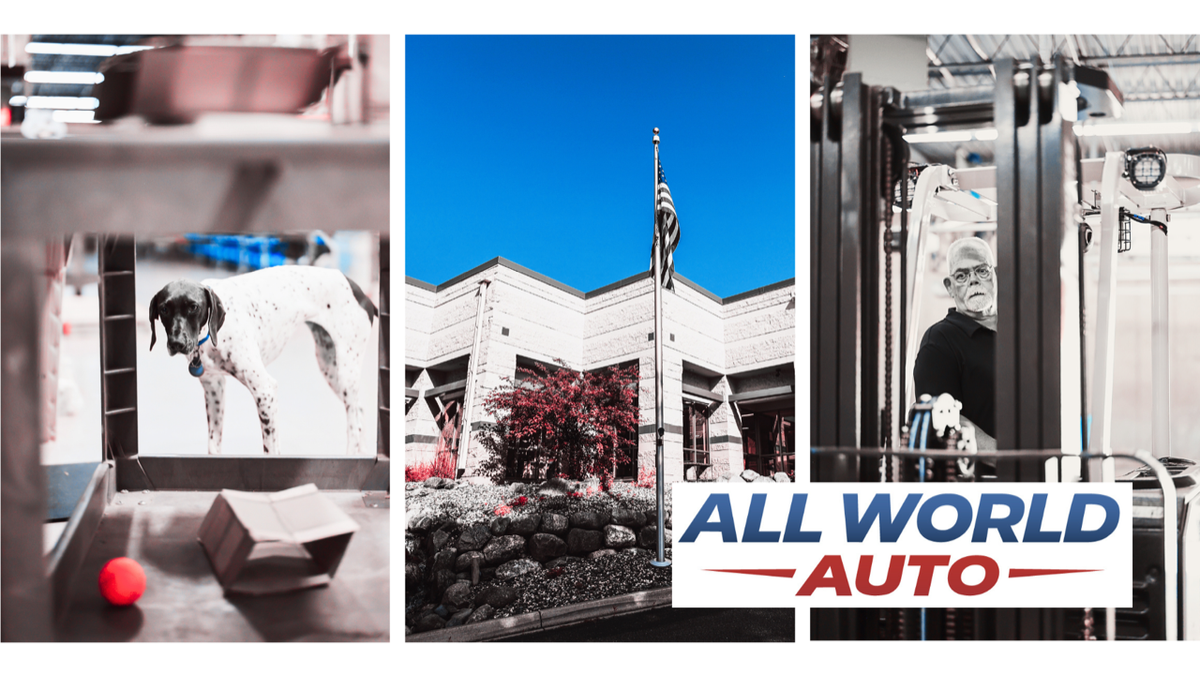 All World Auto: Where Quality Meets the Road.